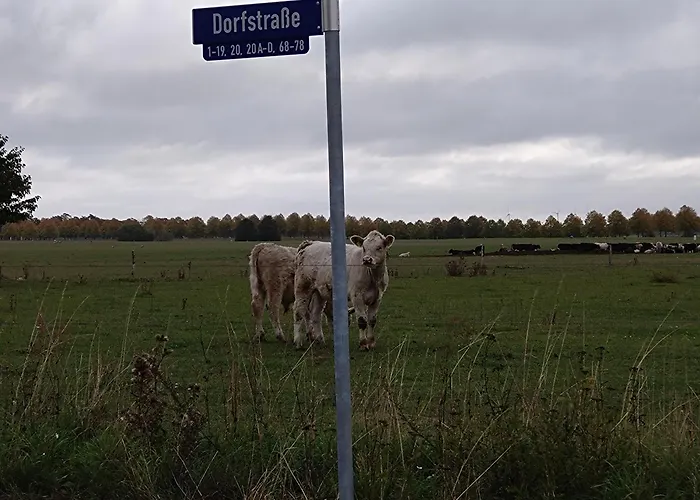 Moderne Barrierefreie Wohnung Auf Dem Land Bei Neuruppin