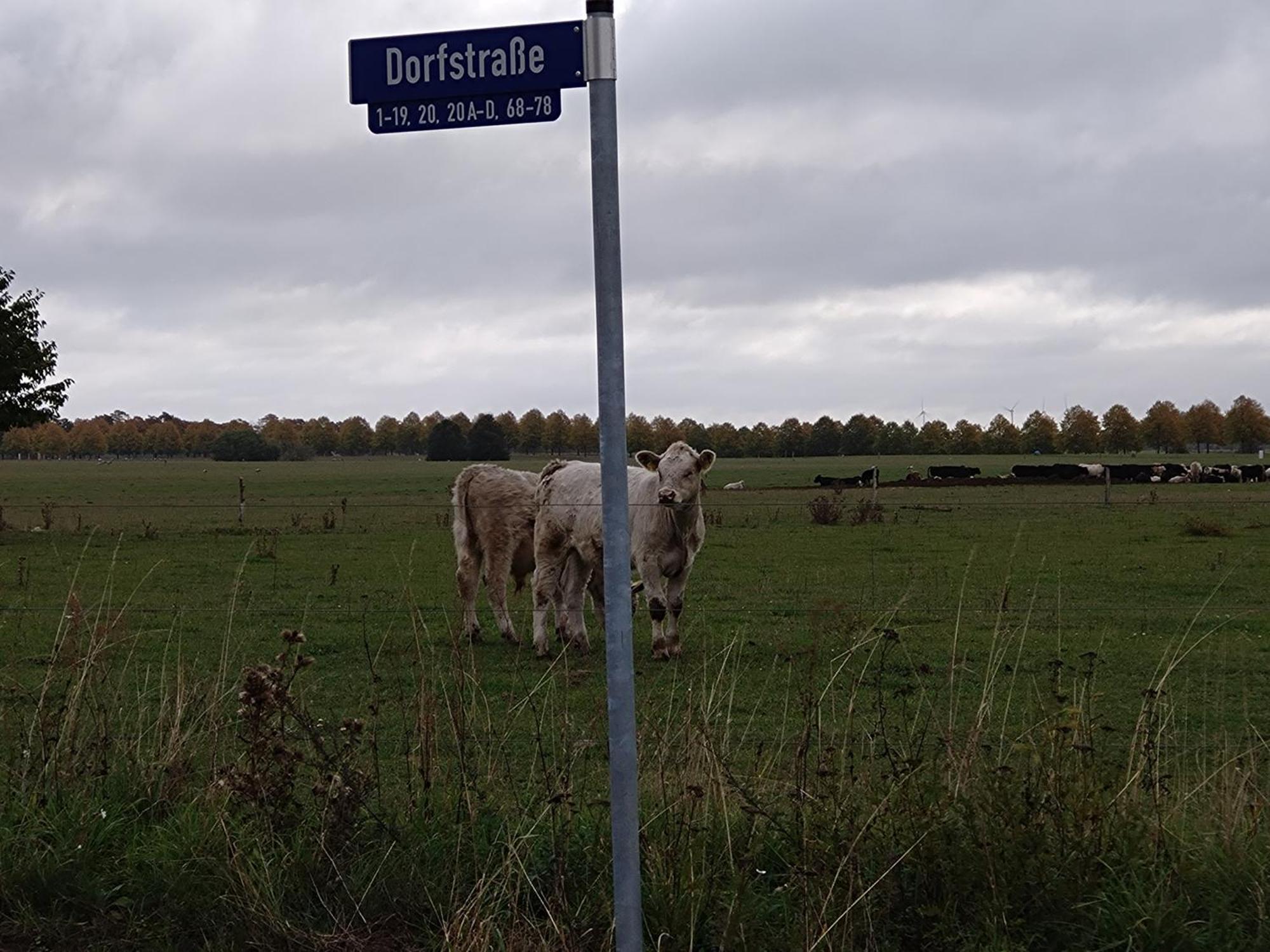 Lejlighed Moderne Barrierefreie Auf Dem Land Bei Neuruppin Lichtenberg (Brandenburg)